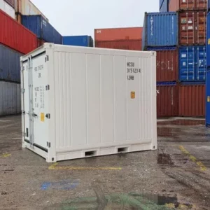 Contenitore di refrigerazione domestico da 10 piedi-Nuovo